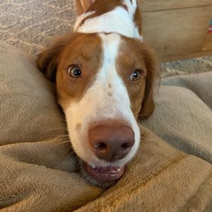 Meet your Posher, Camay